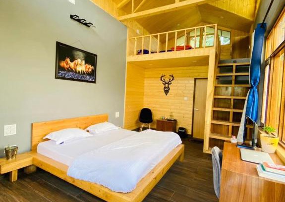 Shimla Complejo | LaCasa, Luxury Stays
