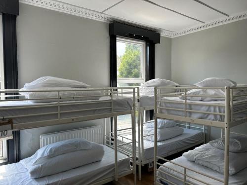 Belfast City Centre Hostal | Lagan Backpackers