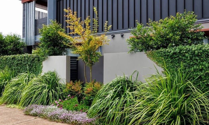 Toowoomba Apartamento | Laguna Apartments