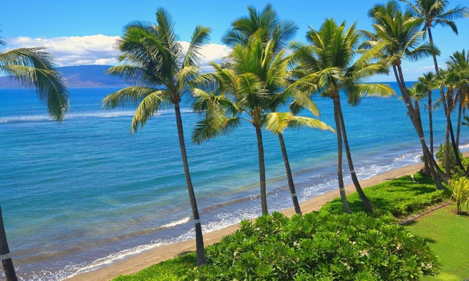 Historic Lahaina Front Street Apartamento | Lahaina Shores 421 - Studio Oceanfront Condo