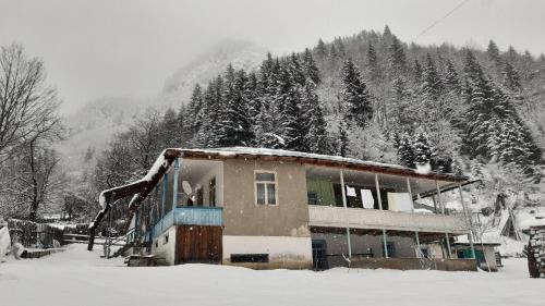 Khaishi Casa | Laia's Guesthouse