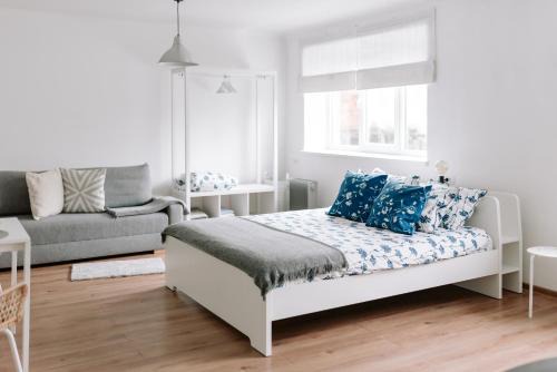 Aluksne Apartamento | Lake Aluksne studio apartment