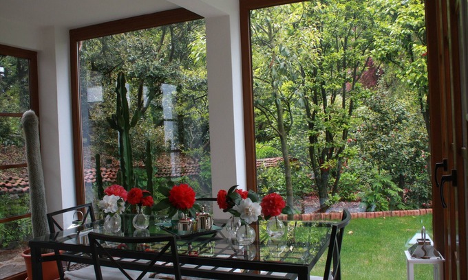 Gonte Apartamento | Lake Apartment With Lush Garden Veranda