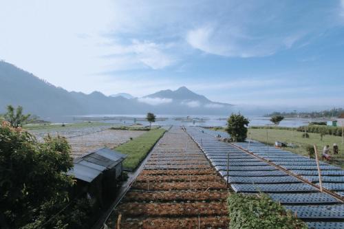 Songan Casa | Lake Batur Cabin