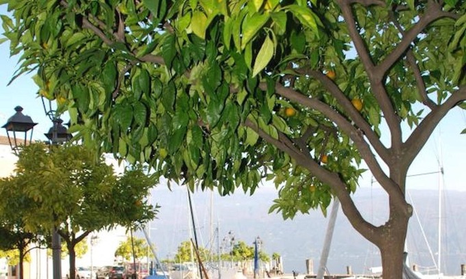 Gargnano Apartamento | Lake Garda Piazza Apartment - St Loe