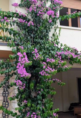 Torri del Benaco Apartamento | Lake Garda Renovated Apartment