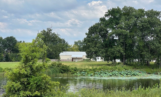 Alba Casa | Lake house off of Lake Fork, one of the best bass fishing lakes in the country!