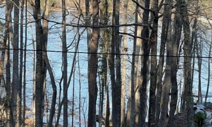 Gainesville Casa | Lake Lanier House 1