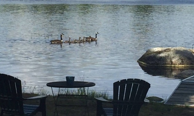 Ellsworth Casa | (Maine Lakefront Luxury) -. Fácil manejo a Acadia. AHORA RESERVANDO 2020!