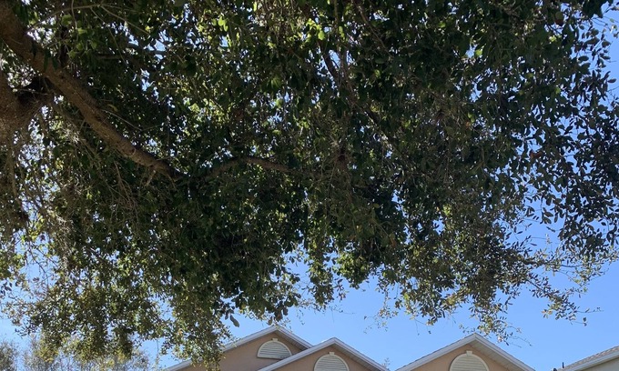 Orlando Casa | Lake Nona Home Near Medical City