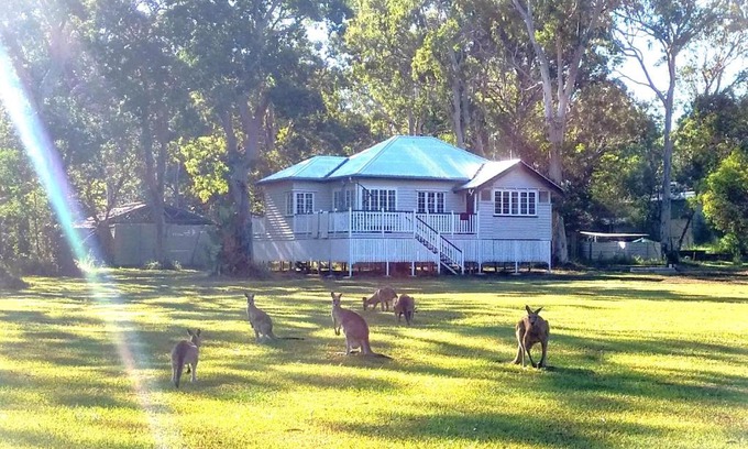 Peregian Beach Cabina | Lake Weyba Noosa Lodge & Kangaroos