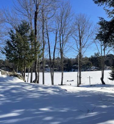Stoddard Casa | Lakefront Cabin 314 Shoreline