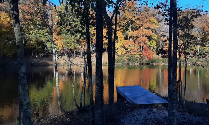 Crossville Cabaña | Lakefront Cottage: Pets welcome, low fees, special monthly discount