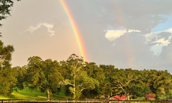 Lucedale Cabina | Lakefront country cabin near Lucedale , MS