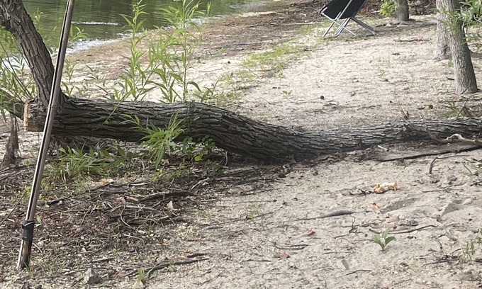 Rio Grande Alquiler De RV | Lakefront Tent Site @ St. Babs Grande Retreat