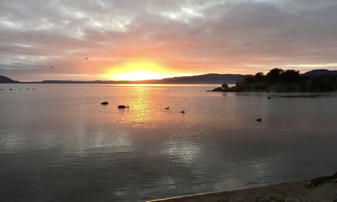 Rotorua Apartamento | Apartamento junto al lago cerca de la ciudad