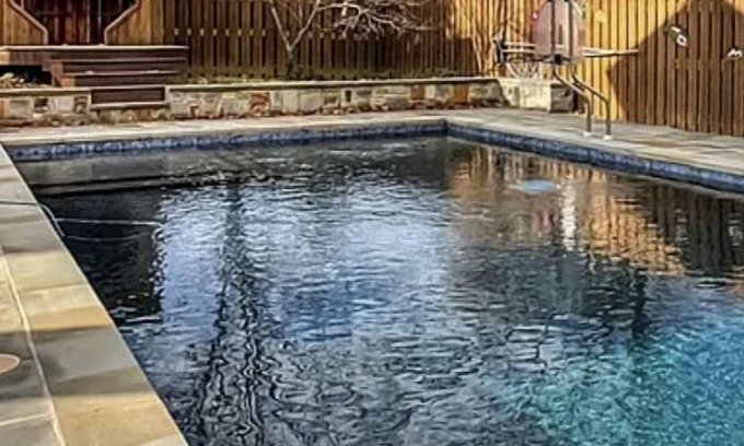 Dandridge Apartamento | Lakeview, historic Dandridge "Bear Hug"