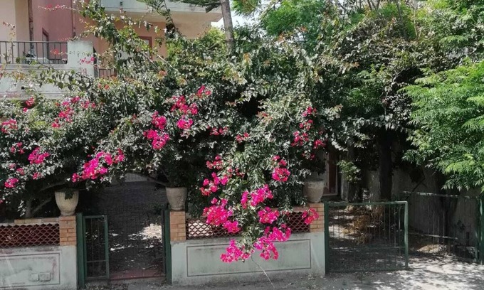 Crucoli Casa | edificio lamanna casa rosa