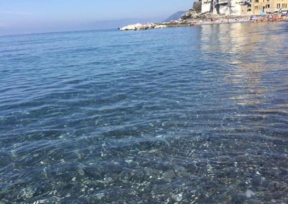 Camogli Casa | LaMarina