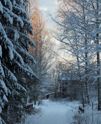 Saarijarvi Chalet De Esquí | Lamminkangas Cottage