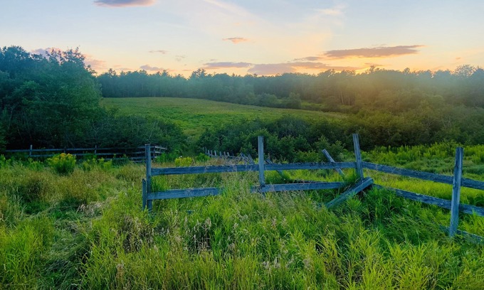 Lamoine Cabina | Lamoine Cabin on the Coast of Maine; just minutes from Acadia National Park