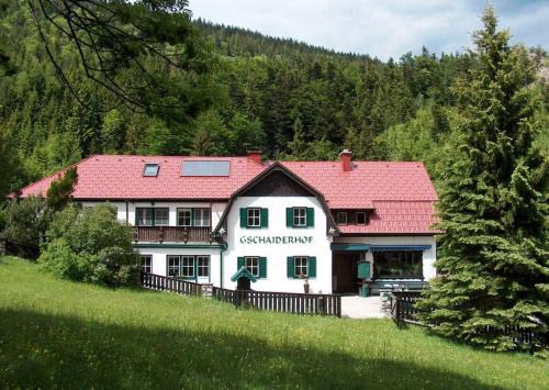 Puchberg Am Schneeberg Apartamento | Landhaus Gschaiderhof