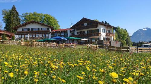Ofterschwang Hotel | Landhotel Alphorn