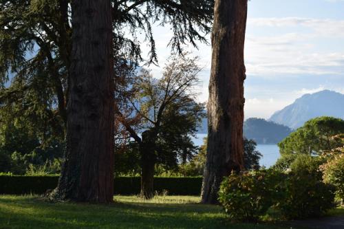 Menaggio Apartamento | Landscapesilvia 1 Aria
