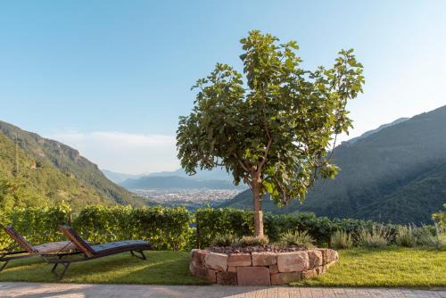Soprabolzano Apartamento | Langegger 1956