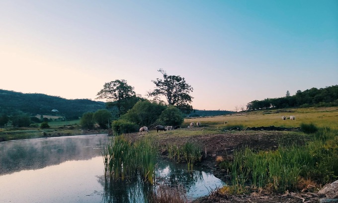 Eagle Point Casa | Langel Creek Ranch Guest House