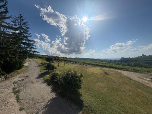 Mango Apartamento | Langhe da cartolina