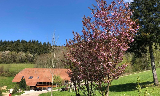 Waldkirch Apartamento | Langmichelhof - Apartamento 32 m2, 1 sala de estar / dormitorio