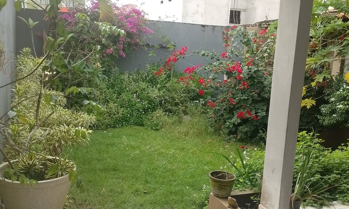 Jose Americo Casa | Lar Jampa - Hospedagem Domiliciliar