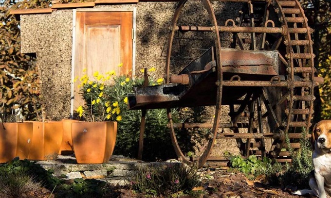 Freixo Casa | Laranjalimao Guest House