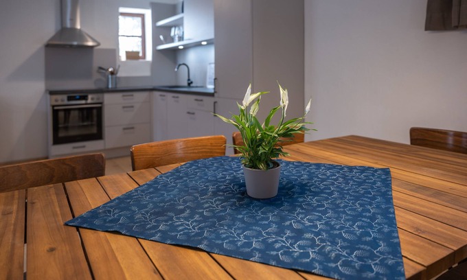 Lutzmannsburg Apartamento | Large apartment with terrace 1200sqm garden in central Burgenland