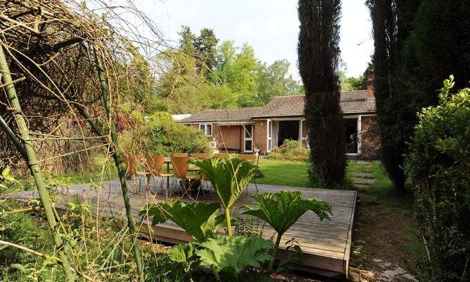 New Forest District Cabaña | Disponible para los AÑOS NUEVOS! Celebra con hasta 24 o 30 personas en New Forest