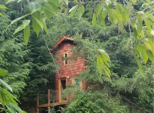 Snohomish Casa | Large Estate Venue 2 hot tubs 2 treehouses