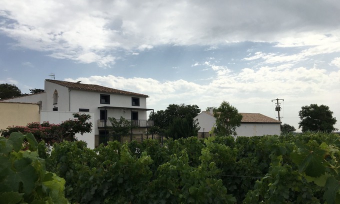 Pinet Casa | Gran casa en el corazón de viñedos orgánicos.