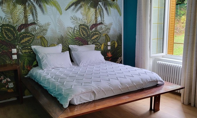Thiers Casa | Large suite with access to living room, terrace, garden - Thiers center, train station