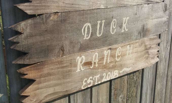 Sequim Casa | RIENDO RANCHO DE PATO .... ¡Propiedad del canal y a pocos pasos de la playa!