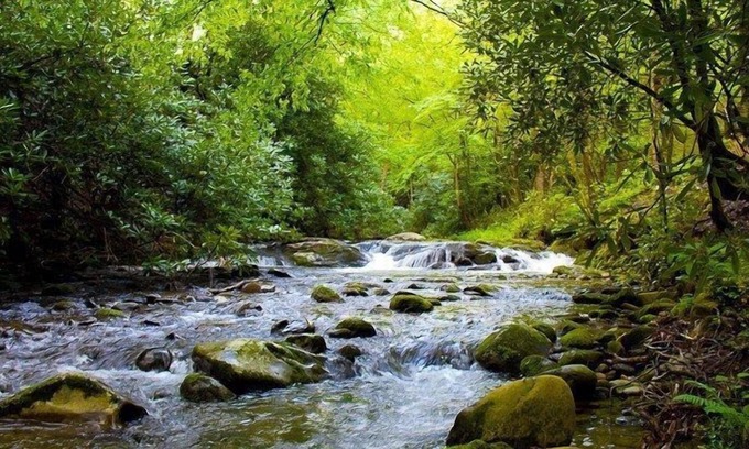 Rocky Grove Cabina | Laurelwood Falls Cabin-A Romantic Retreat Creek Side con cascadas también!