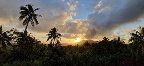 Tanna Island Cama Y Desayuno | Lava view Bungalows