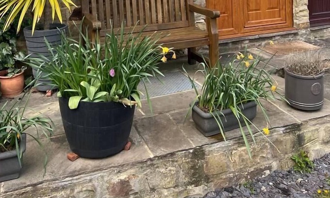 Grewelthorpe Cabaña | Lavender Cottage Grewelthorpe Nr Masham Ripon