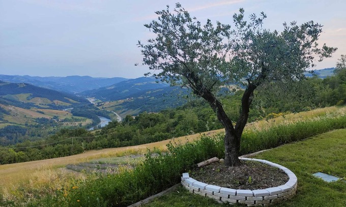 Pieve Di Trebbio Casa | Lavender Loft - The Window on the World