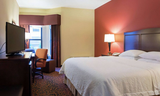 Bearss Plaza Casa | Lavish King Experience! Free Breakfast & WiFi