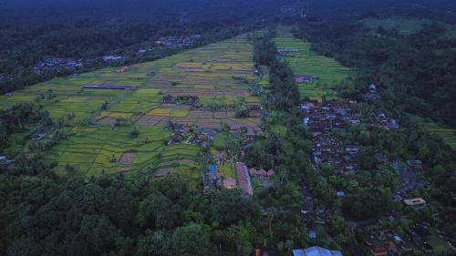 Sebatu Hotel | Lawani Resort