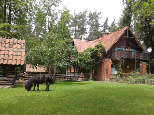 Lipowo Kurkowskie Casa | Leśniczówka Jednorożec