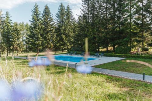 Chmielno Apartamento | Leśny Apartament - Shuuumi Las