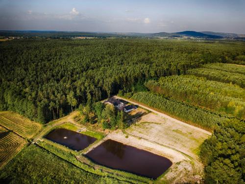 gmina Łopuszno Complejo | Leśny Dworek