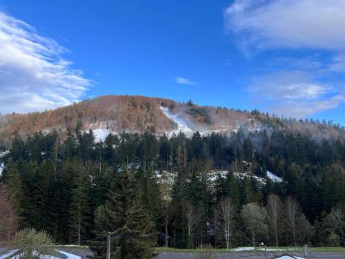 La Bresse Apartamento | Le Balcon - La Bresse
